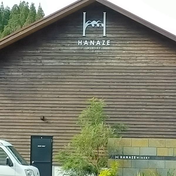 クラシックブドウ浜田農園